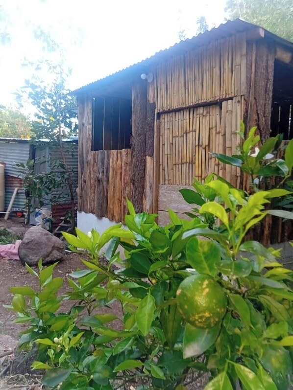 Exterior detail - Casa escondida - Luxury apartment 01 (Santa Cruz la Laguna)