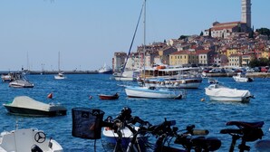 Unclassified image, 3 of 41, button - House Moreda (Istria - Vodnjan) (Vodnjan)