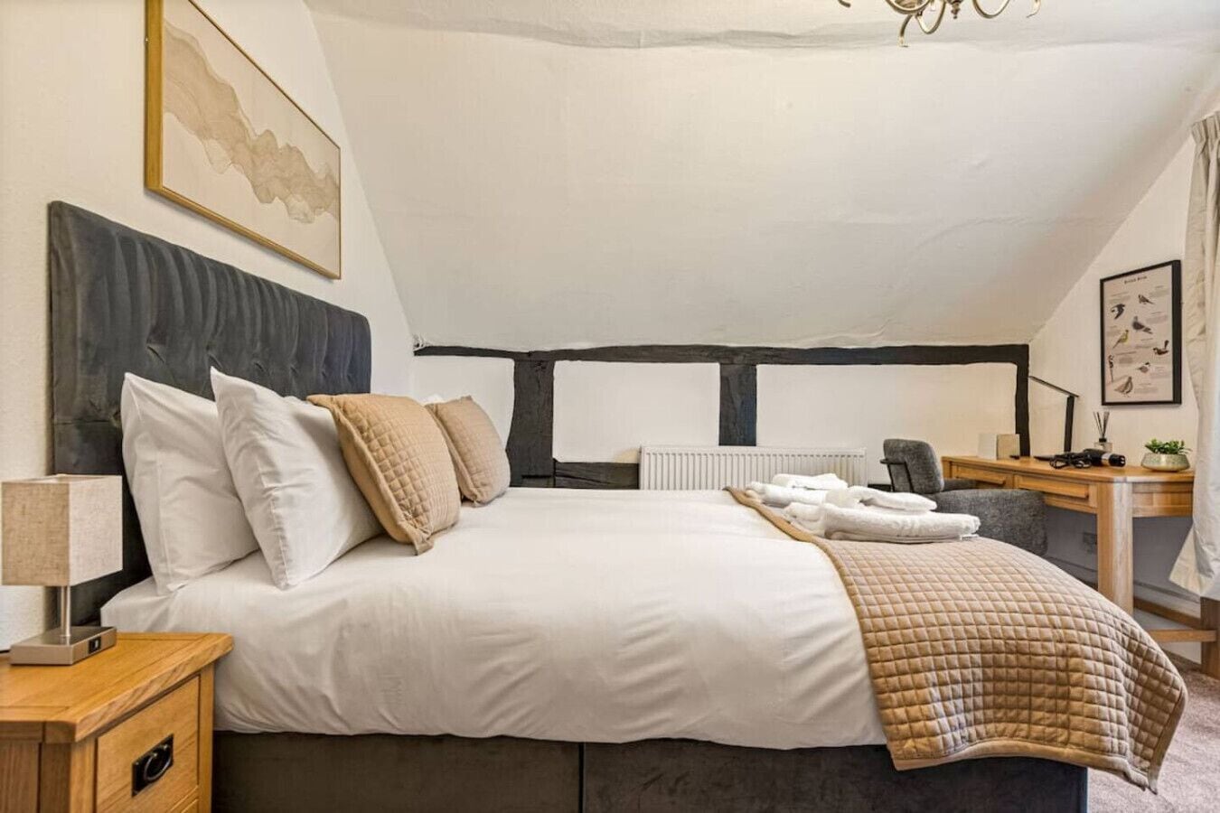 公寓 | 1 間臥室