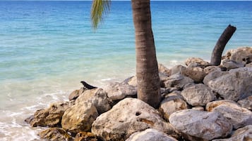 Beach nearby, white sand, beach umbrellas, 4 beach bars