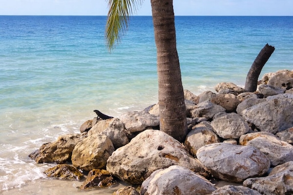 Beach nearby, white sand, beach umbrellas, 4 beach bars