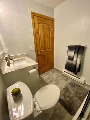 Secador de cabelo, toalhas de banho, sabonete, papel higiênico