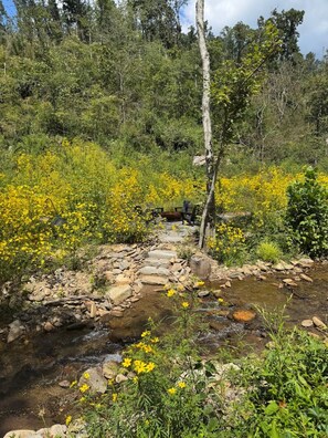 3 bedrooms - Creekside on Shope hot tub Fire pit (Asheville)