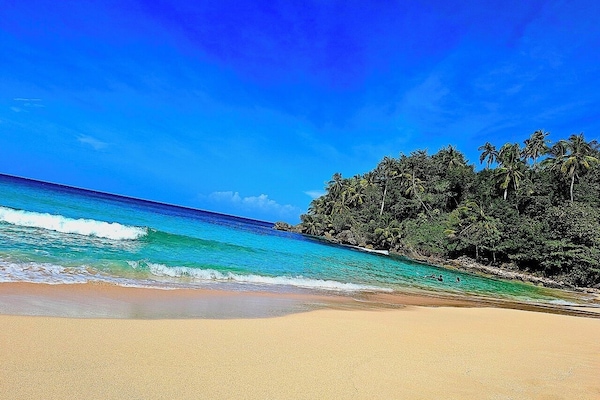 Sun loungers, beach towels