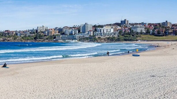 Une plage avec une vue sur la ville en arrière-plan.