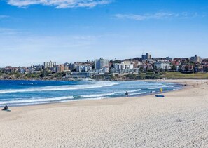 A beach with a cityscape in the background. - The Warners Bondi (Bondi Beach)