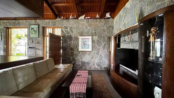 Una televisión, una chimenea, libros