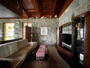 Televisión, chimenea y libros 