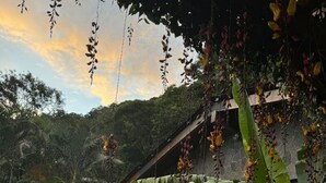 Property grounds - Guatemala Dreams Grand Chalet (San Lucas Tolimán)