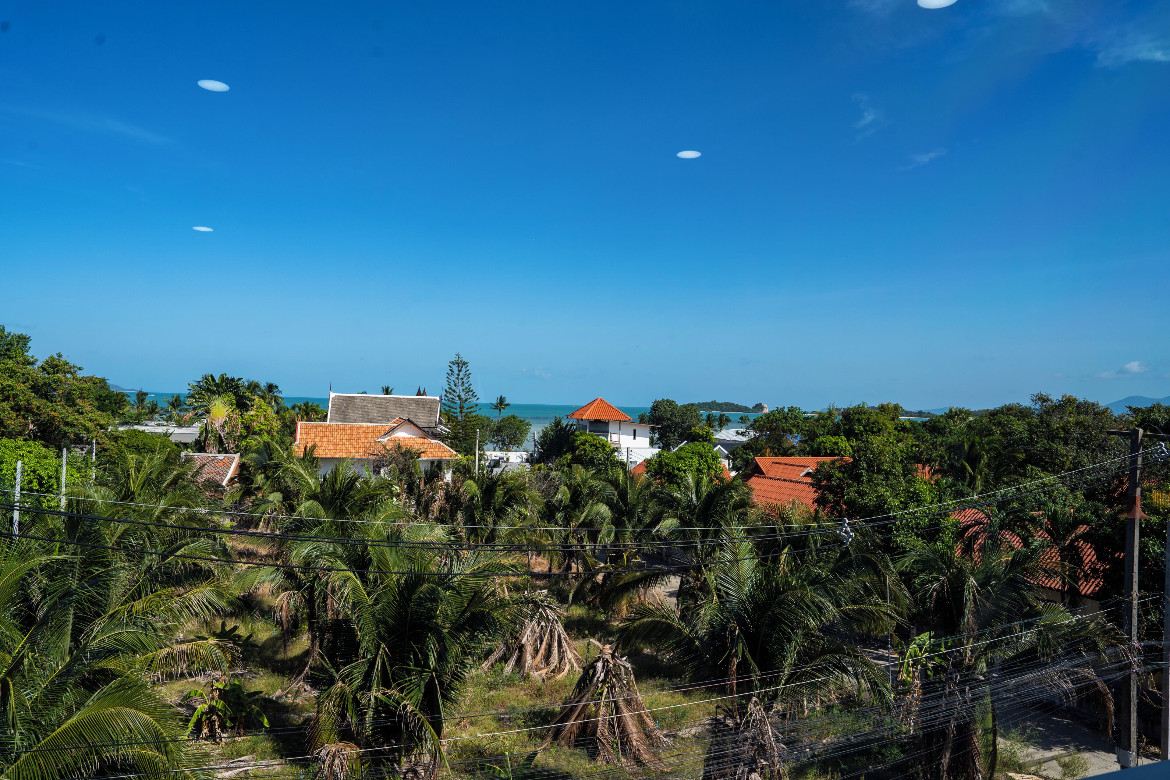 A coastal residential area with houses, palm trees, and a clear view of the sea.