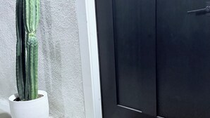 Valkoisessa ruukussa oleva kaktus, musta ovi ja tervetulomatto.