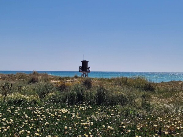 Vista desde la propiedad