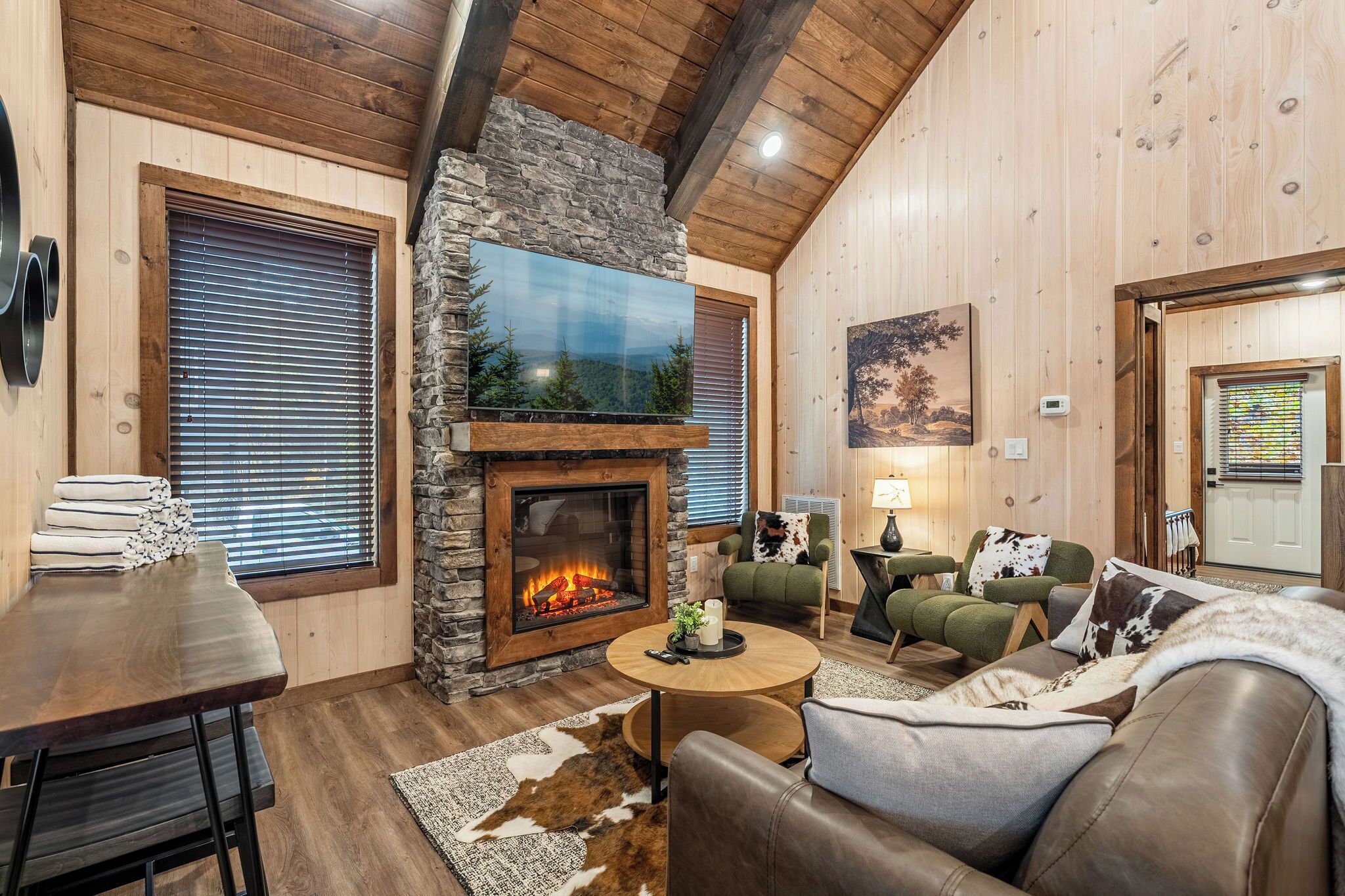 Smart TV, fireplace, books