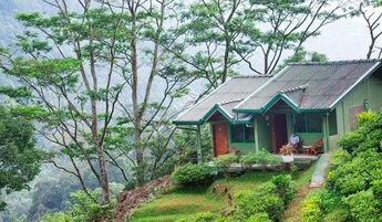 Uma casa verde com telhado inclinado, cercada por vegetação exuberante e árvores.