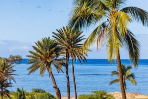 Una playa con palmeras y una vista despejada del océano.