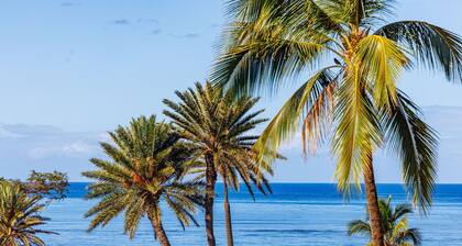 Hip Oceanfront Resort Vistas