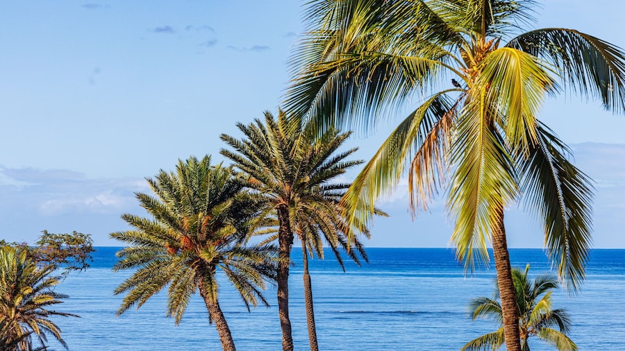 Hip Oceanfront Resort Vistas