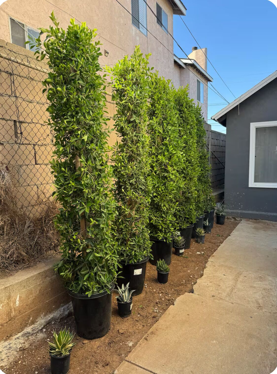 المنطقة المحيطة بالمنشأة