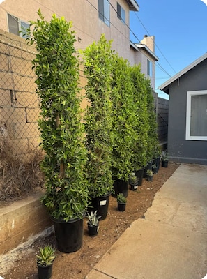 A row of potted plants along a sidewalk next to a building. - Remodeled 2-Bedroom House 2 Miles From DTLA With Free Parking (Los Angeles)