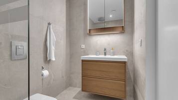 Shower, hair dryer, towels, soap