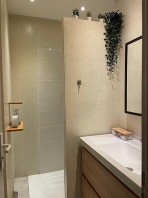 Shower, hair dryer, towels, soap - Bucolic apartment - Historic heart of Dijon (Dijon)