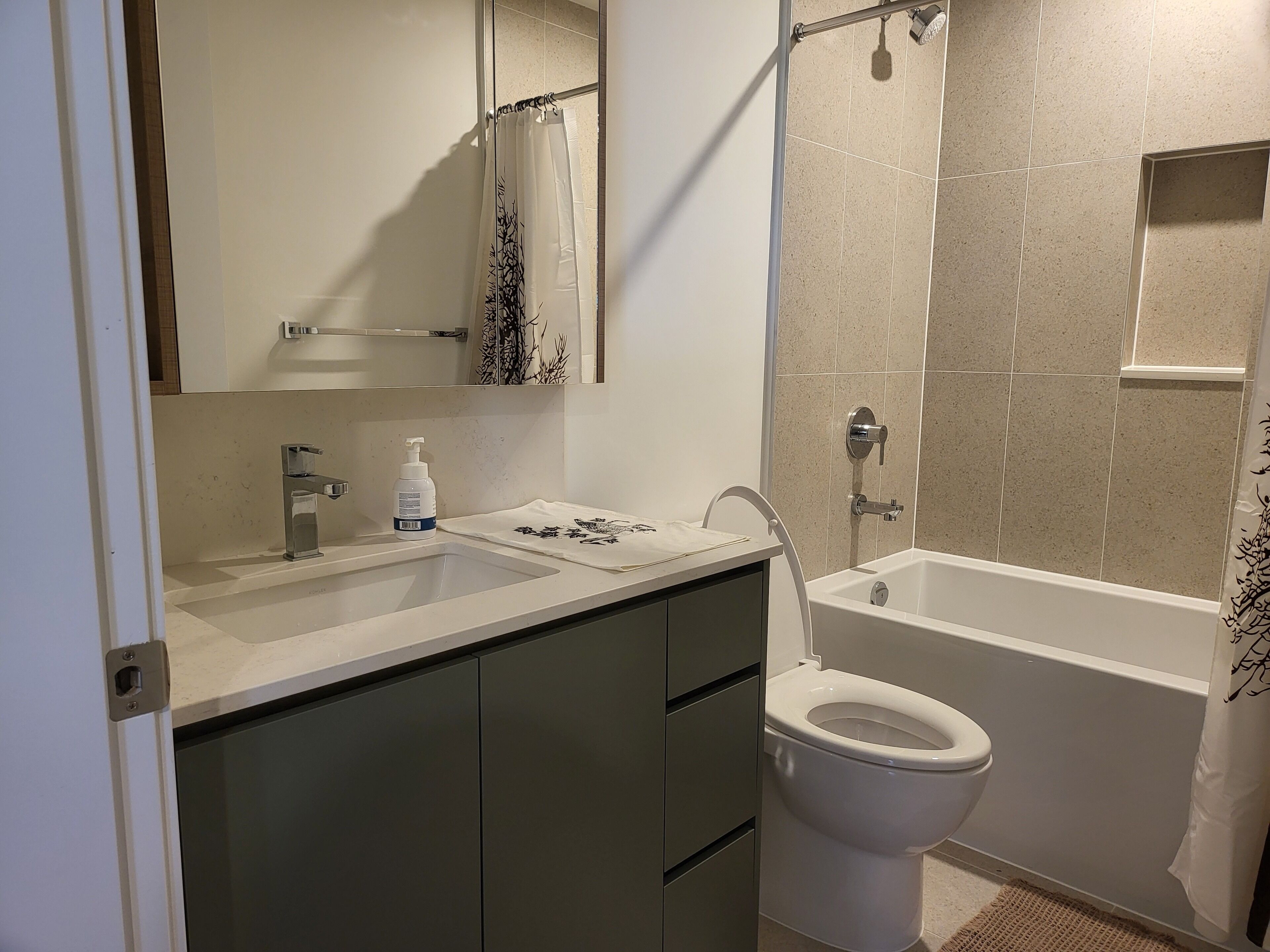 Hair dryer, towels, soap, toilet paper