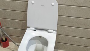 Eine Toilette mit geschlossenem Deckel, Spülhebel und Bidetanschluss.