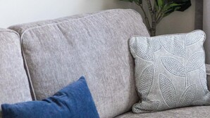 Un salon avec un canapé gris, un coussin bleu et une plante verte.
