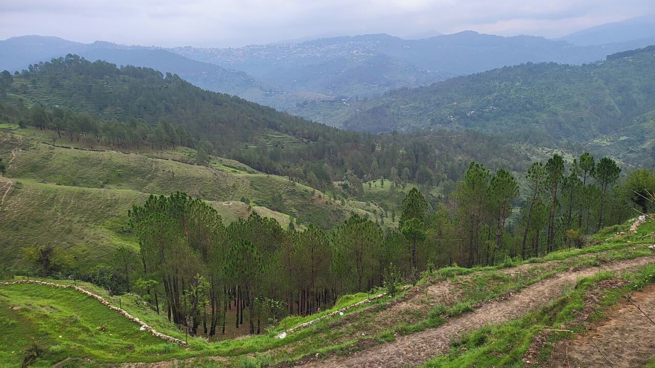 View from property