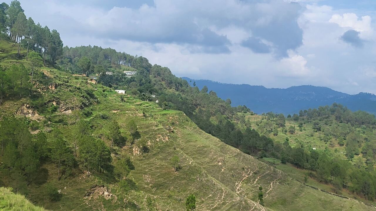 Paisagem acidentada com campos em socalcos e árvores dispersas, provavelmente uma zona rural ou montanhosa.