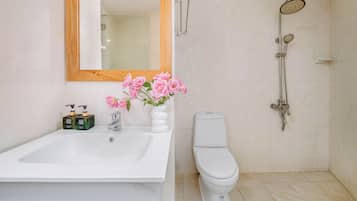 Shower, free toiletries, hair dryer, towels