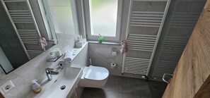 Ducha, secador de pelo, toallas, papel higiénico