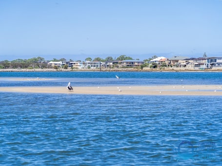 Beach. Townside Getaway in Mandurah