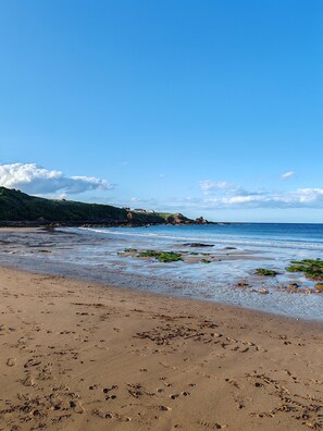 Beach - Cosy 1750s fisherman's cottage - pet friendly & 5 min from a stunning beach! (Coldingham)