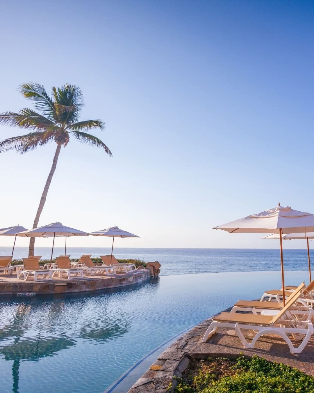 A poolside area with lounge chairs and umbrellas, a palm tree, and a view of the ocean.