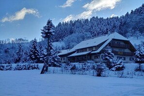 Exterior - Holiday apartment no. 4 (Oppenau)