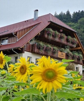 Exterior - Holiday apartment no. 4 (Oppenau)