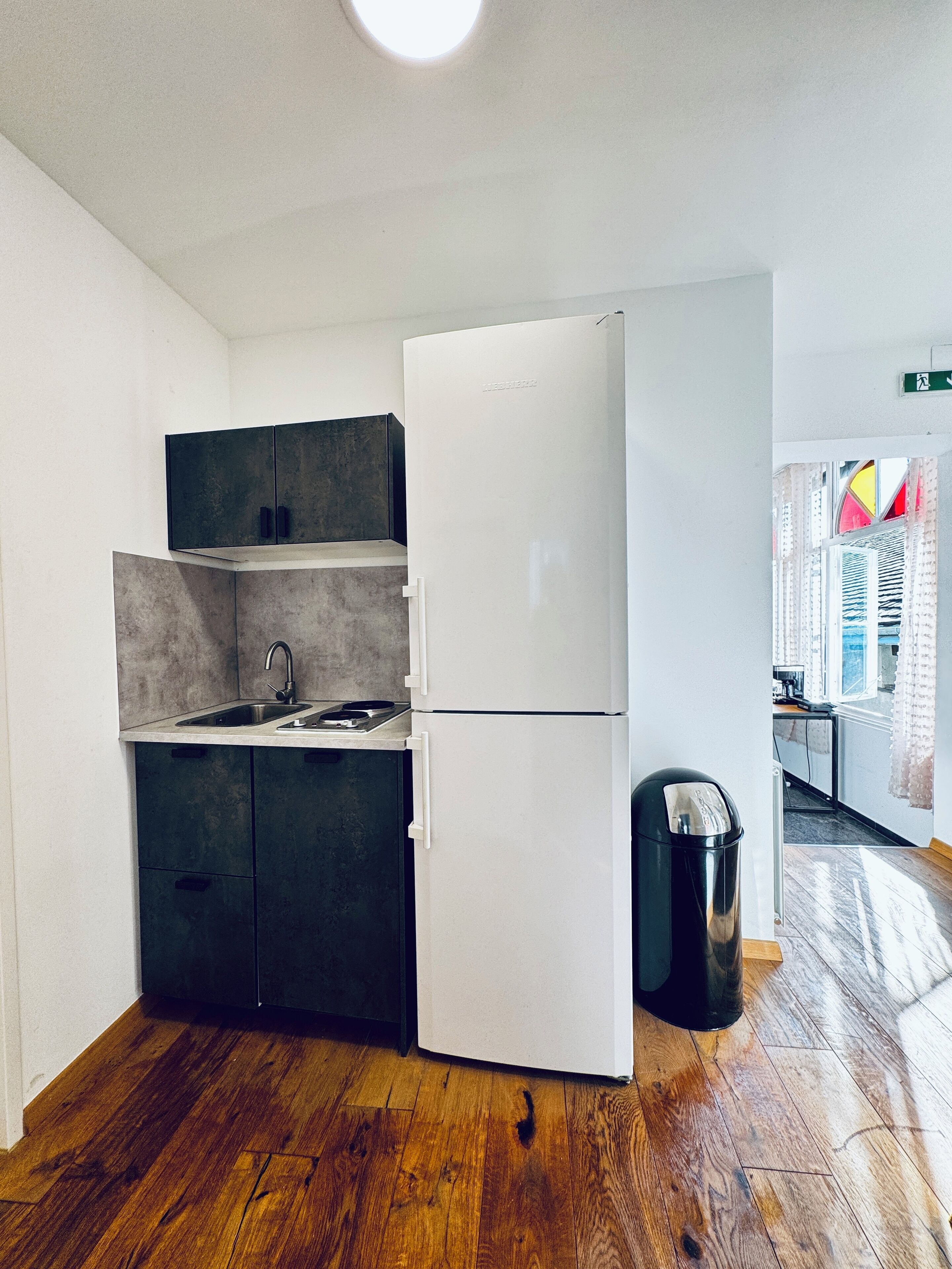 Kühlschrank, Mikrowelle, Herdplatte, Geschirrspüler