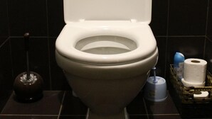A toilet with a closed lid, a toilet brush, and a toilet paper holder with rolls. - Hotel Shiv Shakti  (Rajkot)