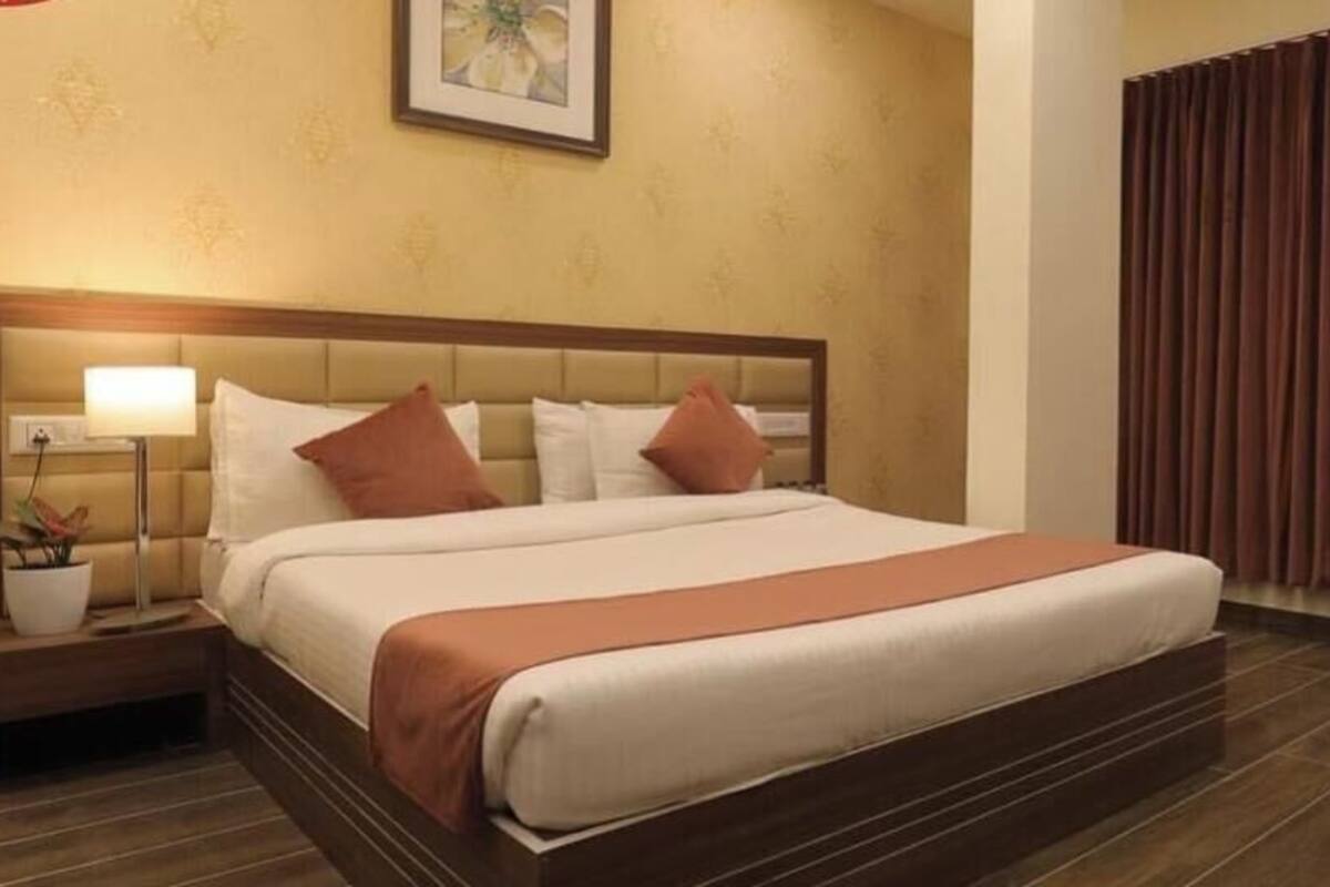 Habitación de hotel con una cama grande, una mesita de noche con lámpara, una planta en maceta y una ventana con cortinas.