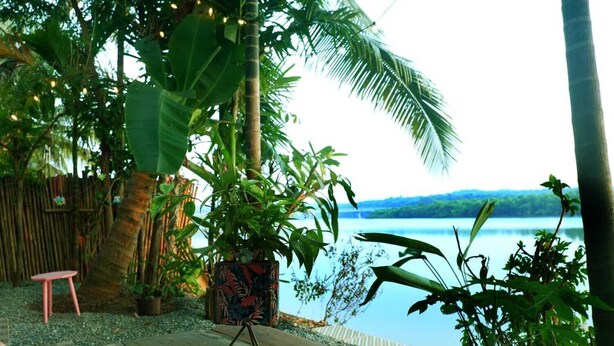 Une terrasse en bois avec une petite table et une chaise, entourée de plantes tropicales et offrant une vue sur un lac.