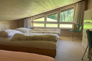 Free WiFi, bed sheets - Holiday apartment on Auweg MÜLLER (Hirschegg)