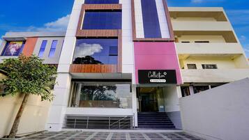 独立别墅 | 外观