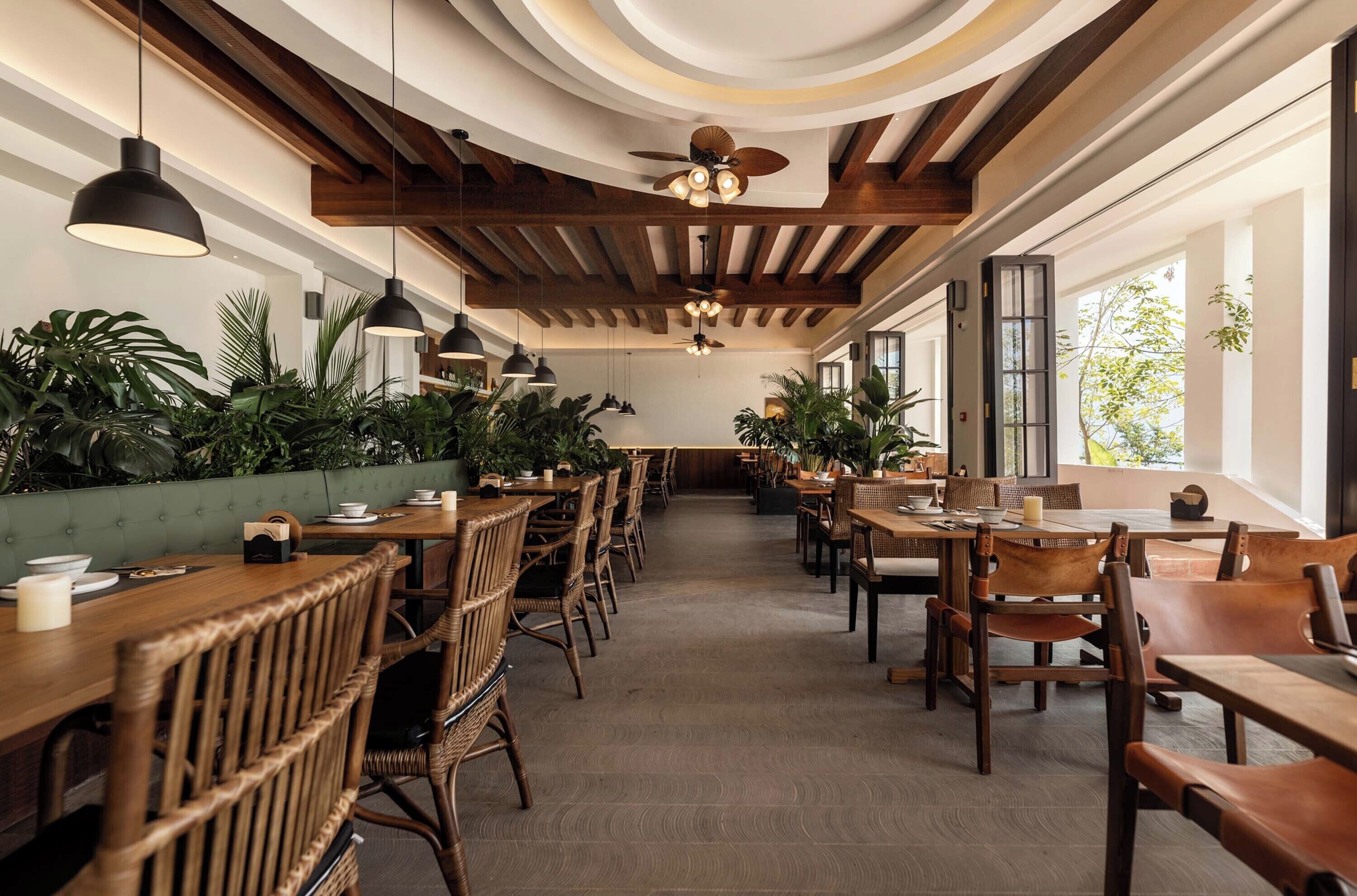 A spacious cafe with wooden tables and chairs, large windows, and indoor plants.