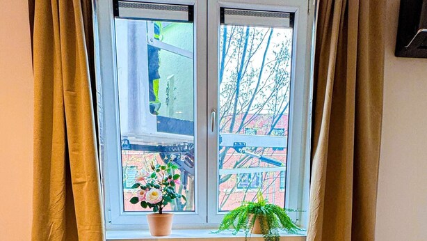 A room with a window, curtains, a potted plant, and a dining table with wine glasses.