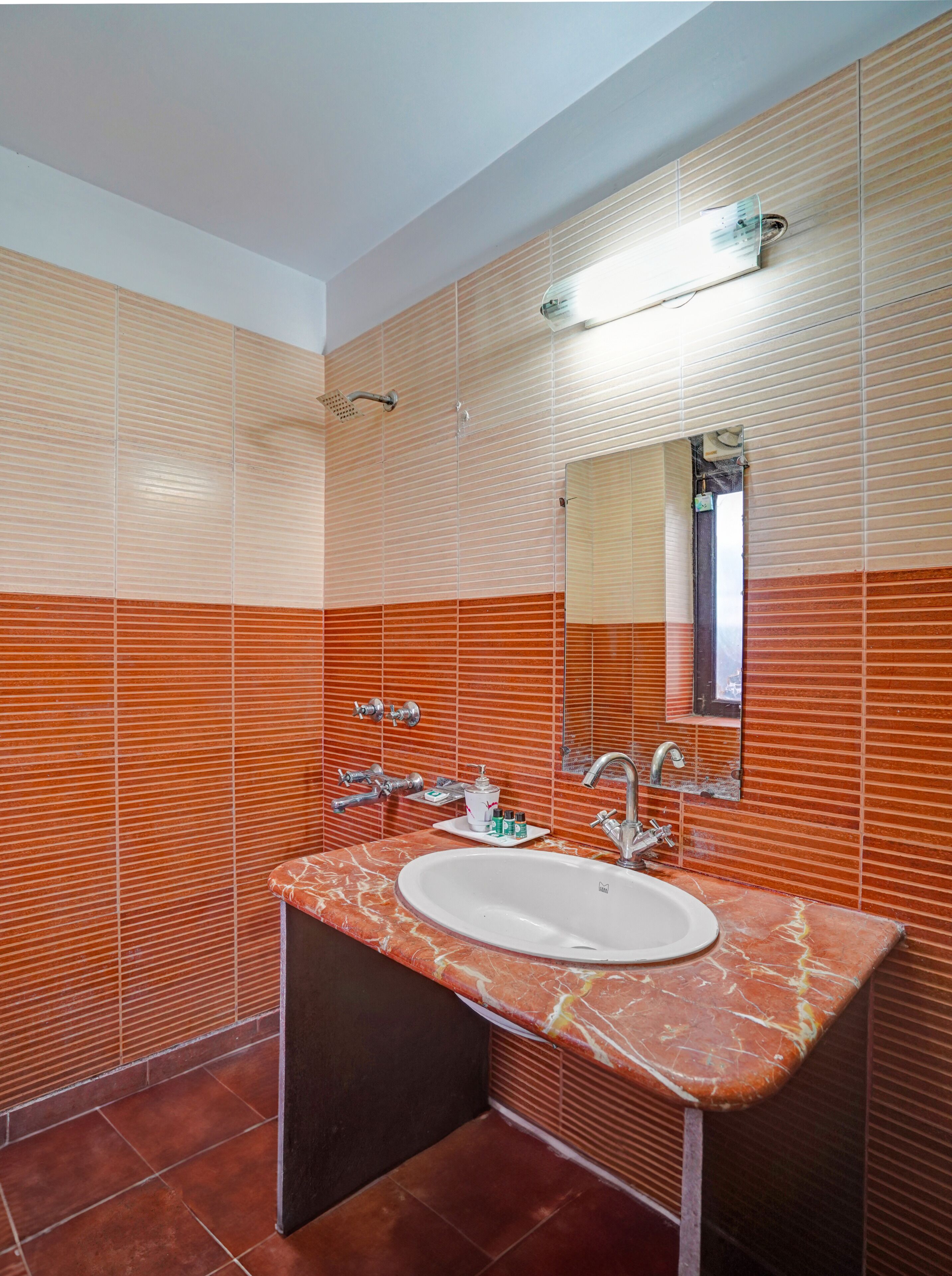 Soap, shampoo, toilet paper