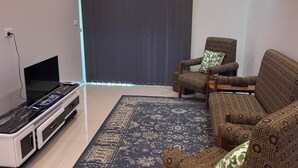 A living room with a flat-screen TV, a patterned rug, and a sofa with a patterned cushion. - Bang For Your Buck (Nadi)