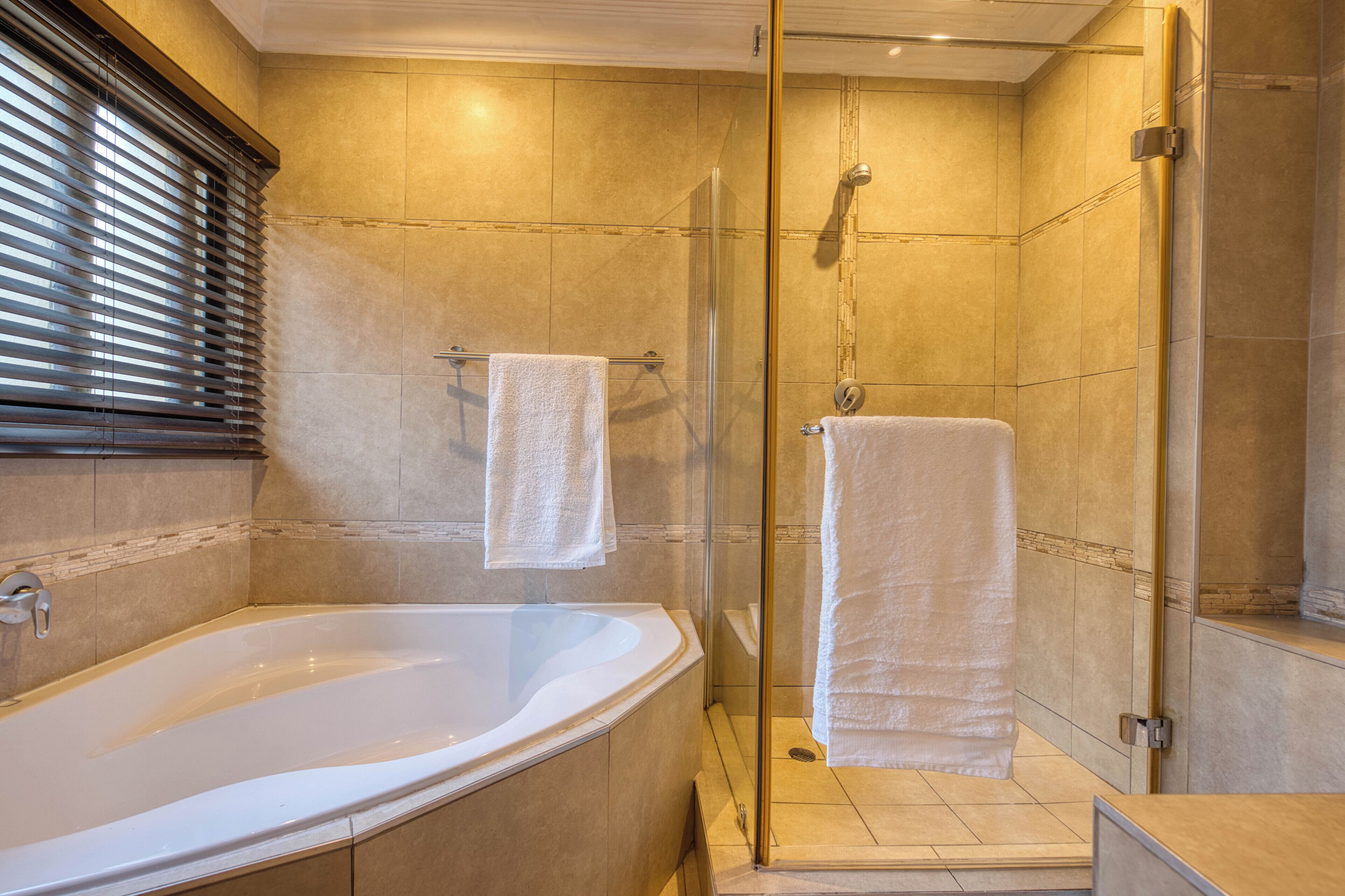 Hair dryer, towels, shampoo, toilet paper