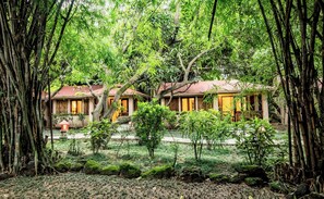 Deluxe Cottage with Garden View - Tiger Camp Resort River Access (Dhikuli)