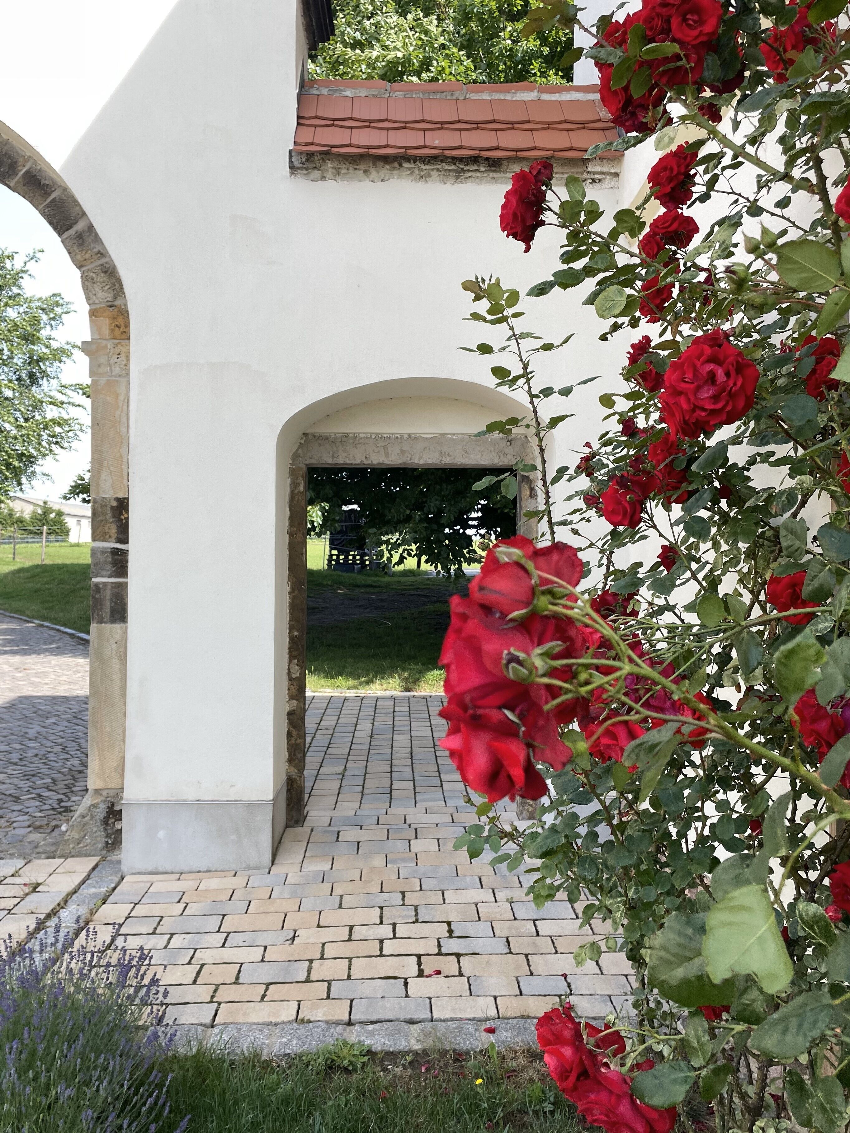 Detall de l'exterior